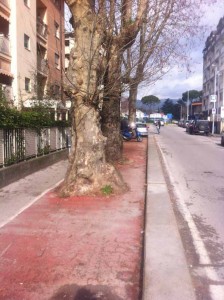 La pista ciclabile di via dello Stadio