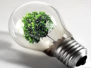 Risparmio energetico e comportamenti virtuosi