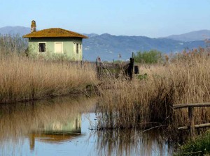 Riserva Naturale, osservatorio Le Morette