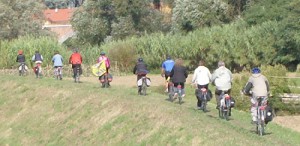 In fila, pedalando