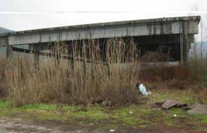 La ex piscina abbandonata di Folonica