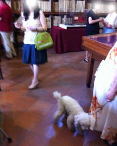 cani in biblioteca - IMG_1506