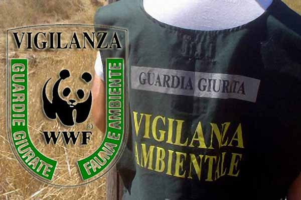 WWF: LE GUARDIE ECO-ZOOFILE SI FANNO IN QUATTRO, MA LA PROVINCIA LE OSTACOLA