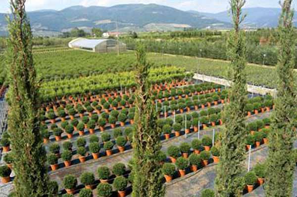 NUOVO RU: RIDOTTA LA ZONA DEDICATA ALLA VASETTERIA E VIETATO IL RIALZAMENTO DEI TERRENI