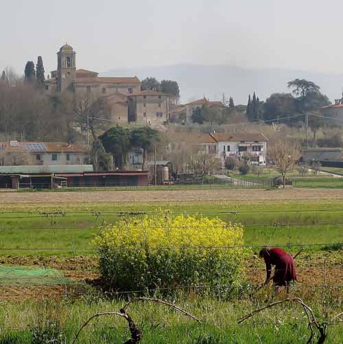 VITA RURALE IN PADULE, VISITA GUIDATA FRA STORIA E TRADIZIONI