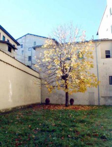 Giardino Sozzifanti-Buontalenti, distrutto ma ancora sotto tutela nel piano Cervellati