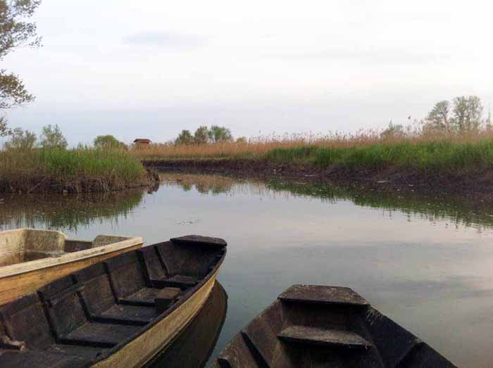 wwf. FUCILI E SPARI NELLA RISERVA NATURALE DEL PADULE DI FUCECCHIO