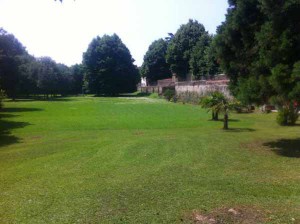 Giardino della famiglia Carnicelli, ex vivaio Fedi. Oltre il muro corre Via Baroni