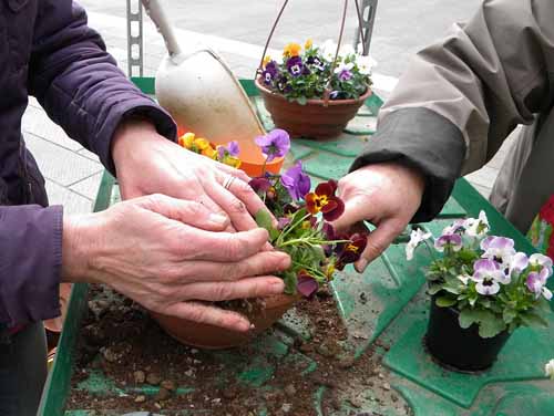 L’AGRICOLTURA PISTOIESE A “VIVA LA TERRA!”