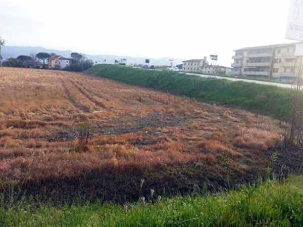 pesticidi. PISTOIA, QUI TIRA «ARIA AL VELENO»