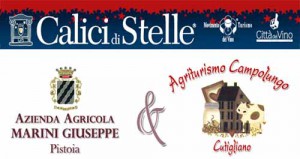 calici_di_stelle_0