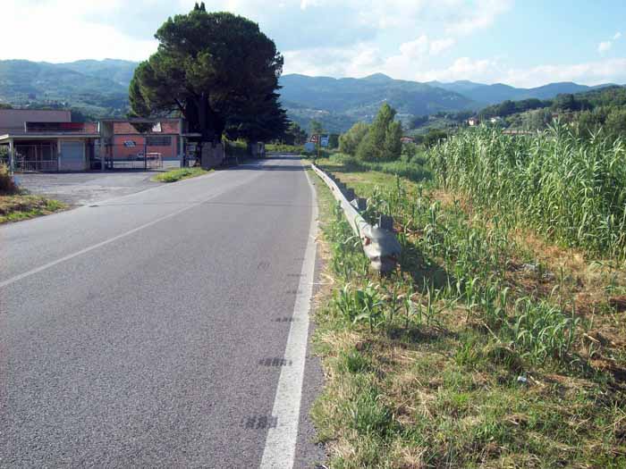 STRADE PROVINCIALI SENZA MANUTENZIONE