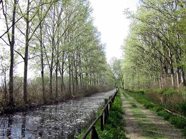 AUTUNNO IN VALDINIEVOLE: VISITE GUIDATE IN PADULE E AMBIENTI COLLINARI VICINI