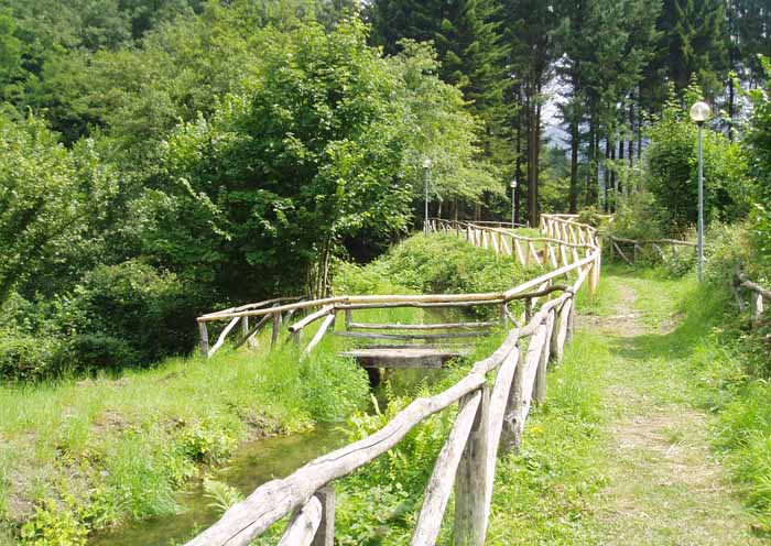 IL SENTIERO DELLA FERRIERA DI PONTEPETRI