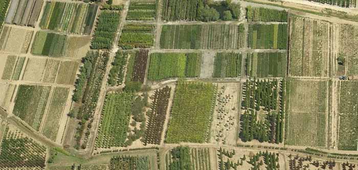 AGRONOMI E FORESTALI: «IL PIANO PAESAGGISTICO? ECCO COSA NON VA»