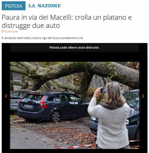 VIA DEI MACELLI, NECESSARIO ABBATTERE CINQUE PLATANI