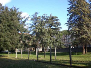 Il giardino di San Giovanni