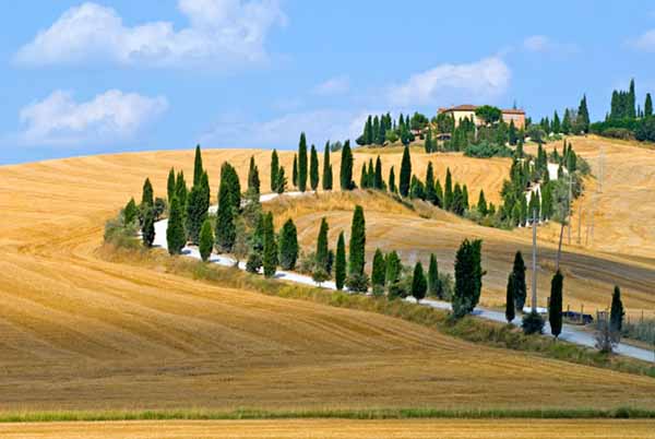 COME STANNO I TOSCANI? BENE, GRAZIE