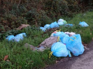 Rifiuti abbandonati in via Bocca di Gora