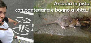 Pedalare in città: piacere tutto pistoiese...