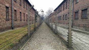 Auschwitz, interno del campo 2 - Auschwitz_01