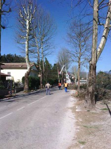 Il disastro in strada