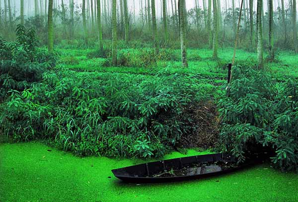 IL PADULE DI FUCECCHIO NEL “RAMSAR PHOTO CONTEST”