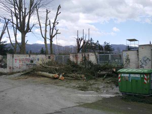 Pistoia. Campo scuola,5 marzo 2015