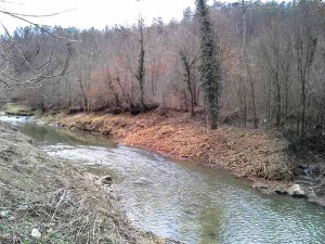 Torrente Greve