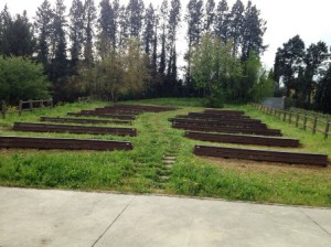 L'anfiteatro nel quartiere dei Ronchi