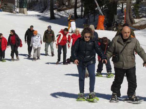 Sport per tutti sulla neve, 2015