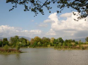 Una veduta dell'Anpil della Querciola