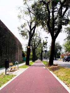 Pista ciclabile di viale Arcadia