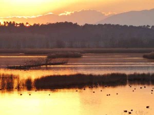 Tramonto a Le Morette [foto Massimo Taddei]