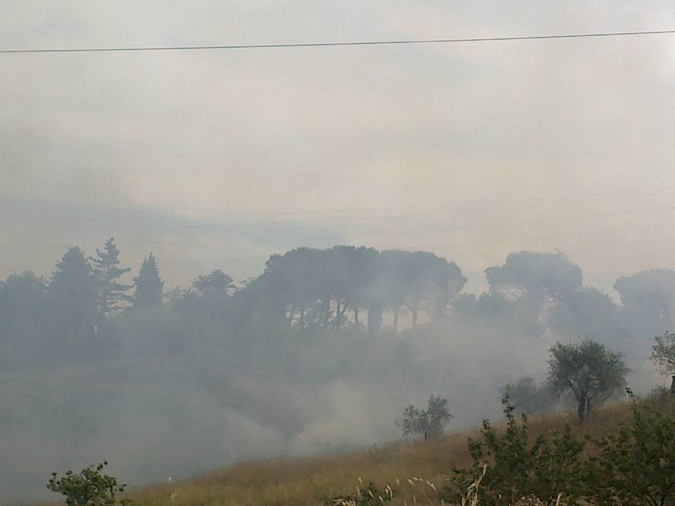 FIAMME IN ACQUAVIVOLA, INDAGINI SULL’ORIGINE DELL’INCENDIO