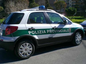 Auto_polizia_provinciale