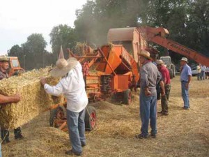 Trebbiatrice al lavoro