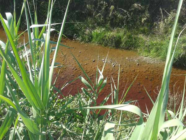 IL TORRENTE STELLA È DIVENTATO ROSSO PORPORA