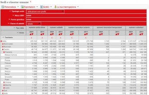 Dati Istat 2011 sul terzo settore 