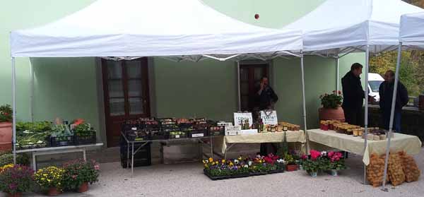 MERCATINO AGRICOLO A PIAN DEGLI ONTANI