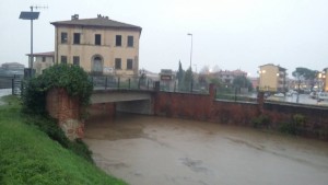 Ombrone a Ponte dei Baldi (ore 18,30)