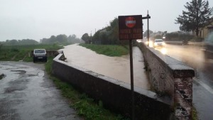 Fosso Quadrelli a Olmi