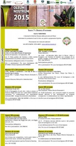 Il programma