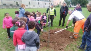 Le piante messe a dimora nel giardino della scuola primaria De Amicis