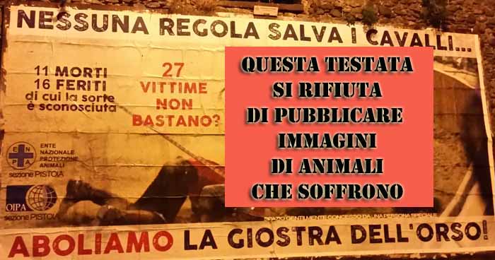 I MANIFESTI URLANO DAI MURI: «NO ALLA GIOSTRA DELL’ORSO!»