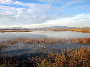 Riserva Naturale  Le Morette osservatorio