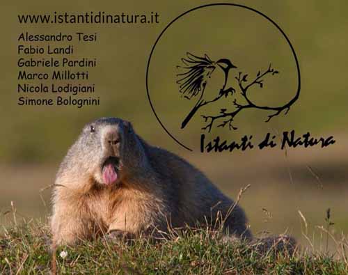 serravalle. BIBLIOLEDÌ, DA STASERA “ISTANTI DI NATURA”