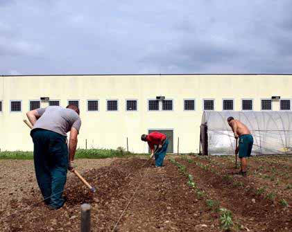 INSERIMENTO LAVORATIVO DETENUTI, PRIMO BILANCIO POSITIVO