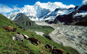 Trasferiamoci in Tibet