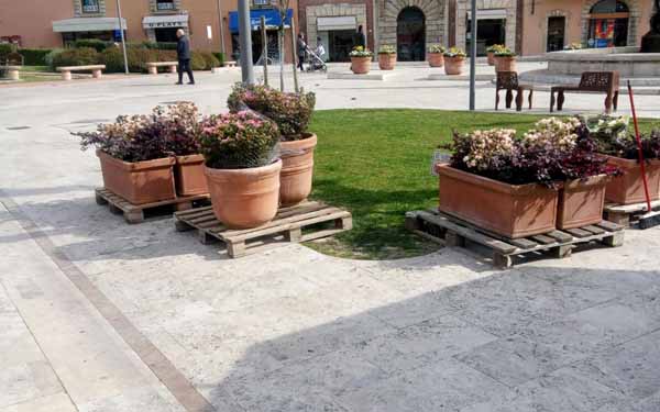 montecatini. NUOVE PIANTE IN PIAZZA E PINETA TIRATA A LUCIDO